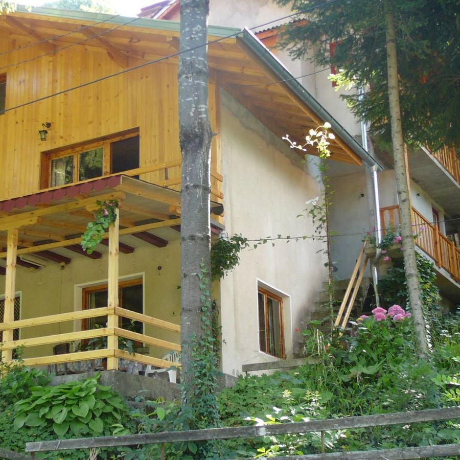 Mountain Sun Guest House Csiflik Kültér fotó